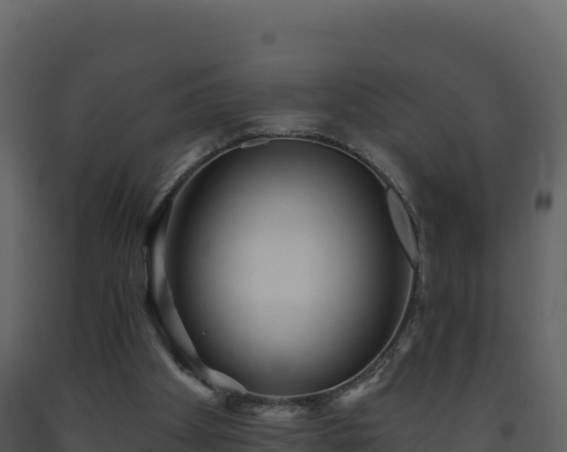 X0000093480105200710191215