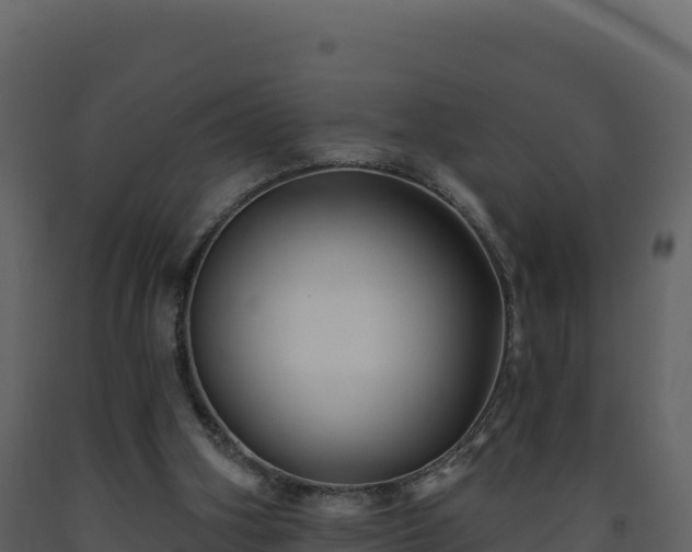 X0000093480106200710191215