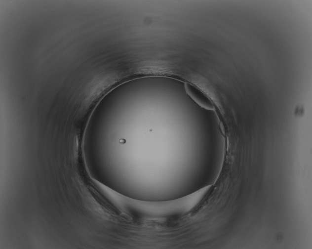 X0000093480109200710191215