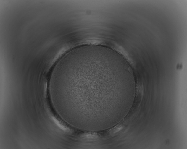 X0000093480110200710191215