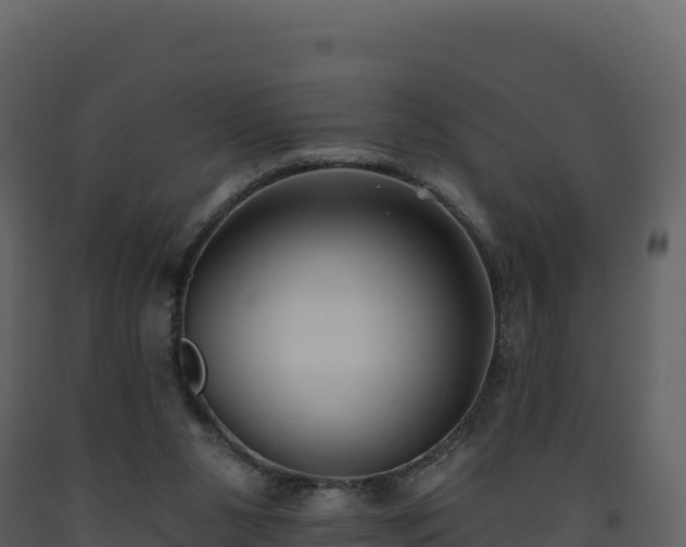 X0000093480111200710191214