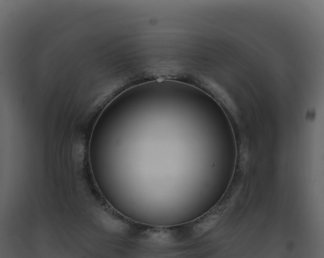 X0000093480113200710191214
