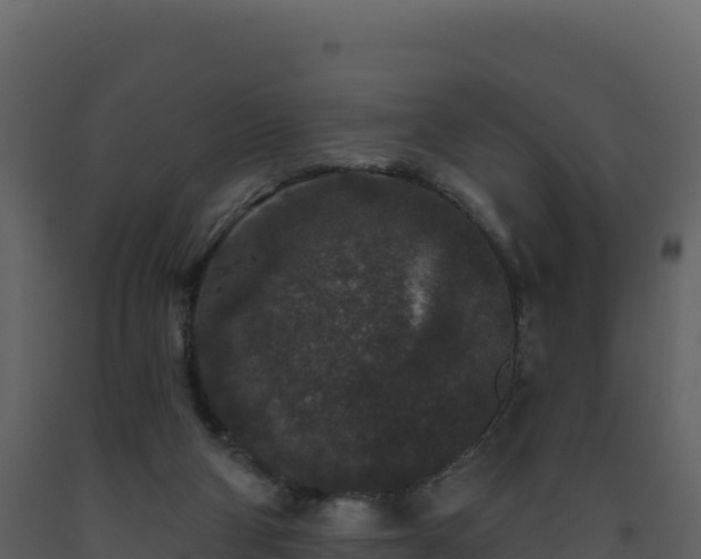 X0000093480114200710191214