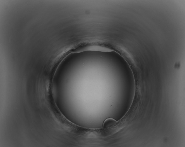 X0000093480115200710191214