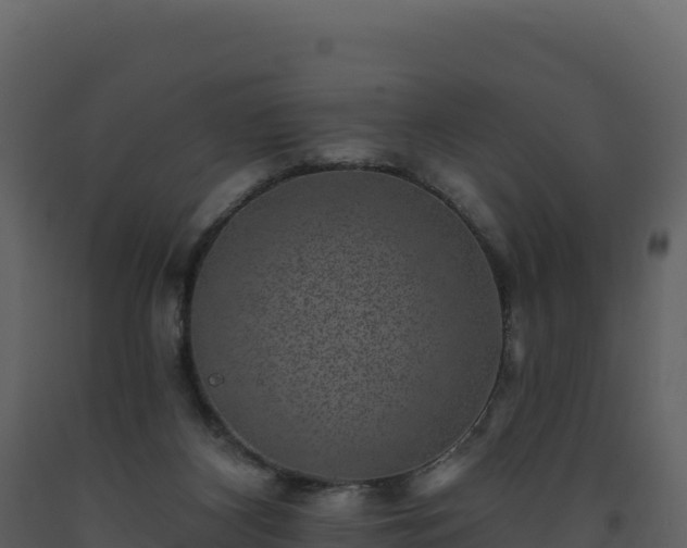 X0000093480116200710191214