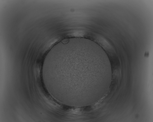 X0000093480120200710191214