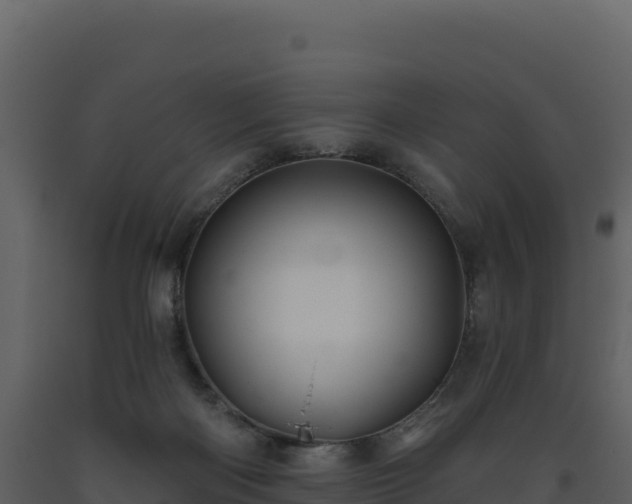 X0000093480122200710191214