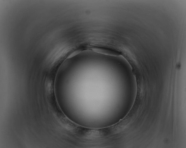 X0000093480123200710191214
