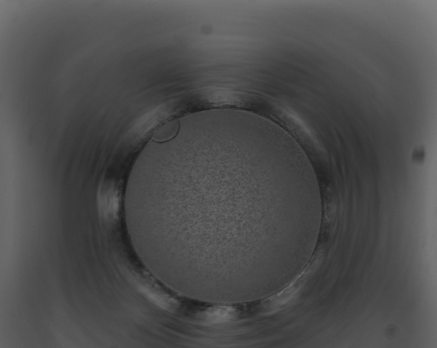 X0000093480124200710191214