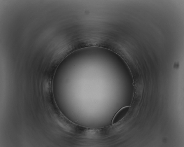 X0000093480126200710191214