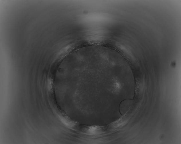 X0000093480130200710191214