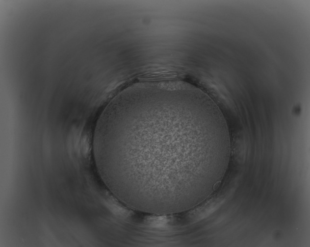 X0000093480131200710191214