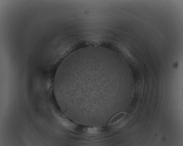 X0000093480134200710191214