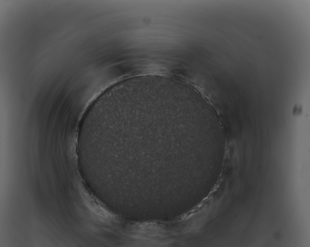 X0000093480146200710191214