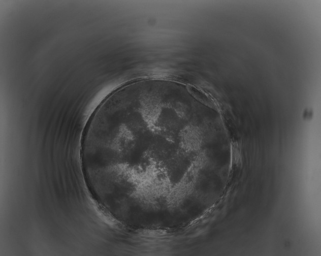 X0000093480147200710191214