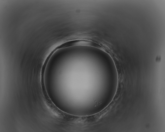 X0000093480148200710191214