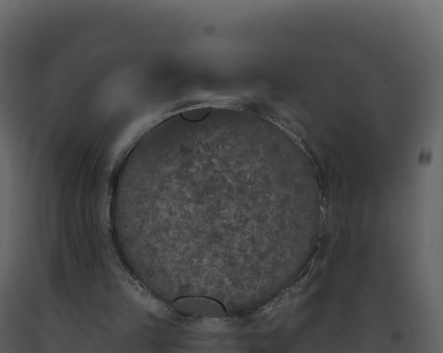 X0000093480149200710191214