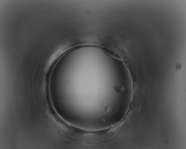 X0000093480150200710191214