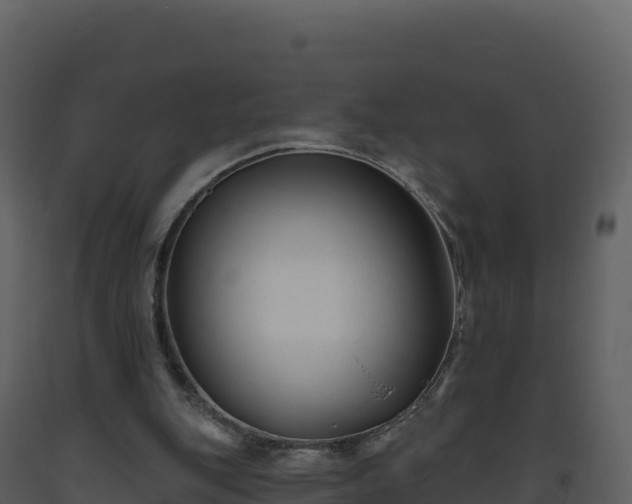 X0000093480151200710191214