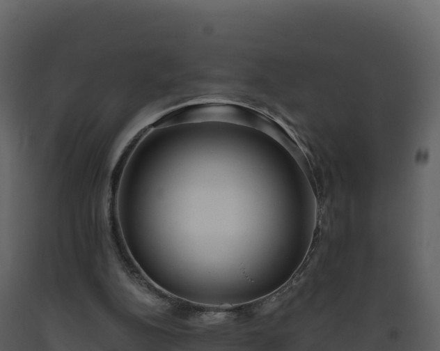 X0000093480152200710191214