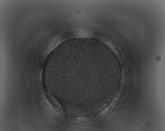 X0000093480154200710191214