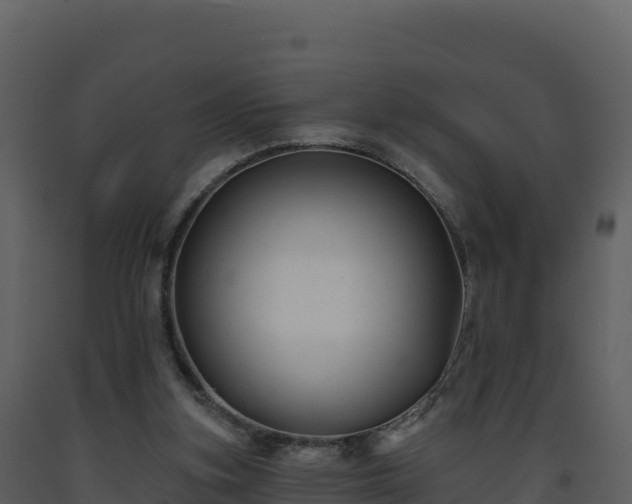 X0000093480155200710191214