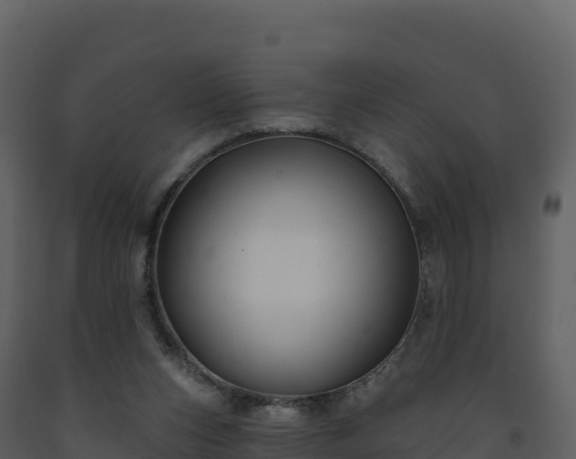 X0000093480159200710191214