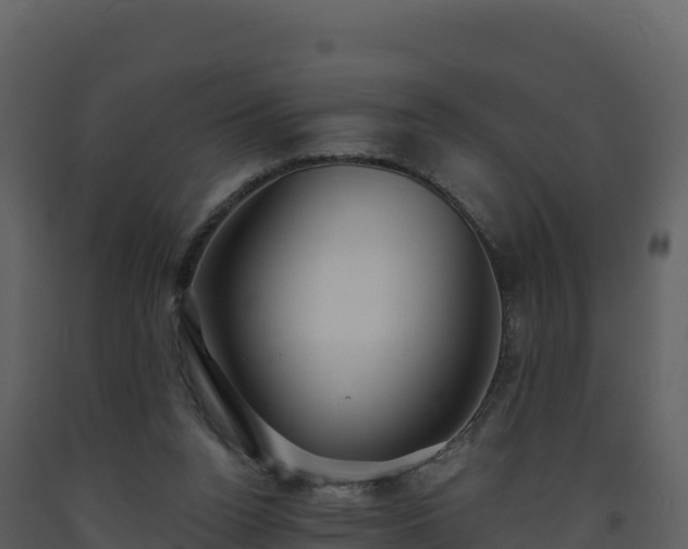X0000093480160200710191214