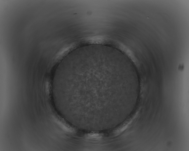 X0000093480161200710191214