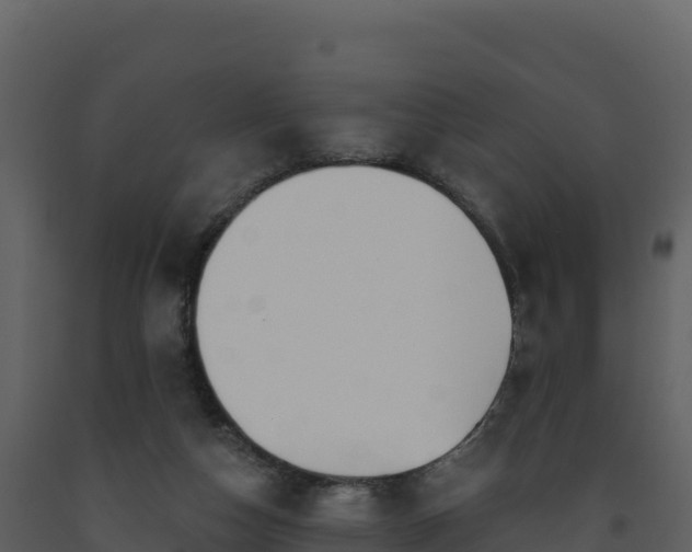 X0000093480162200710191214