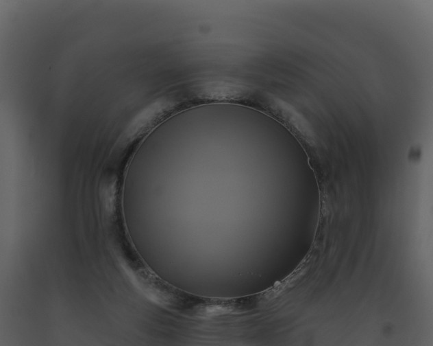 X0000093480163200710191214