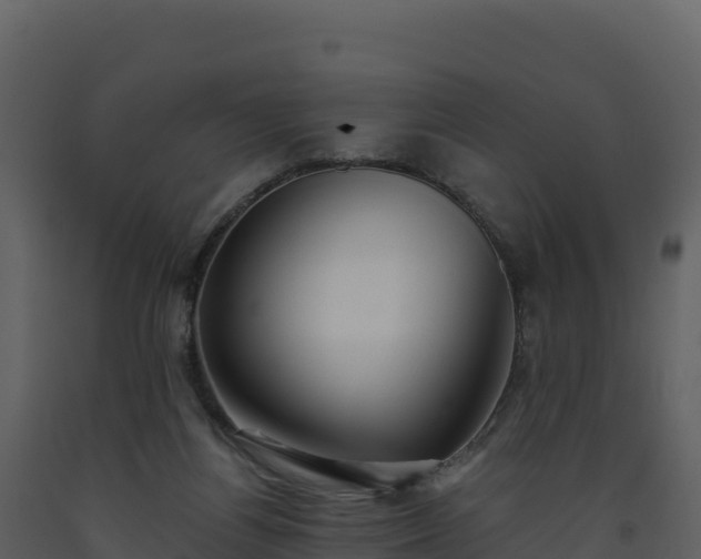 X0000093480164200710191214