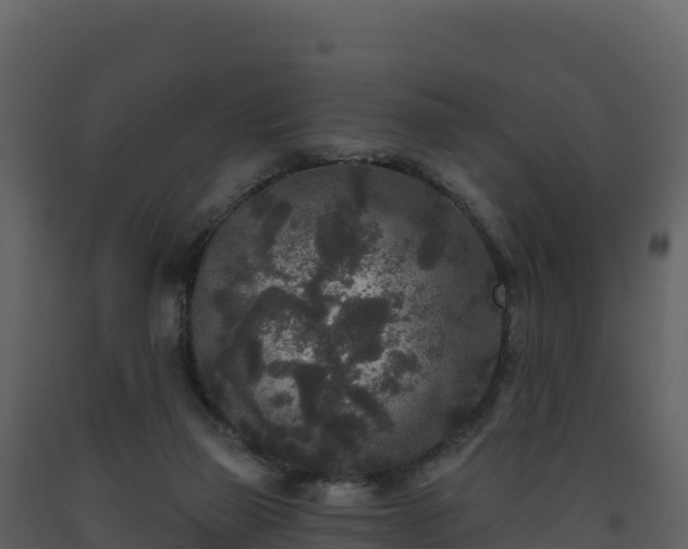 X0000093480165200710191214
