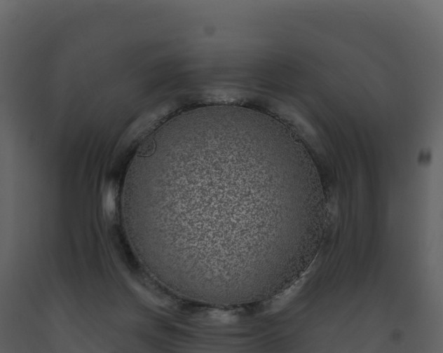 X0000093480166200710191214