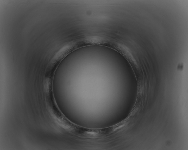 X0000093480167200710191214