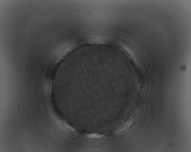 X0000093480168200710191214
