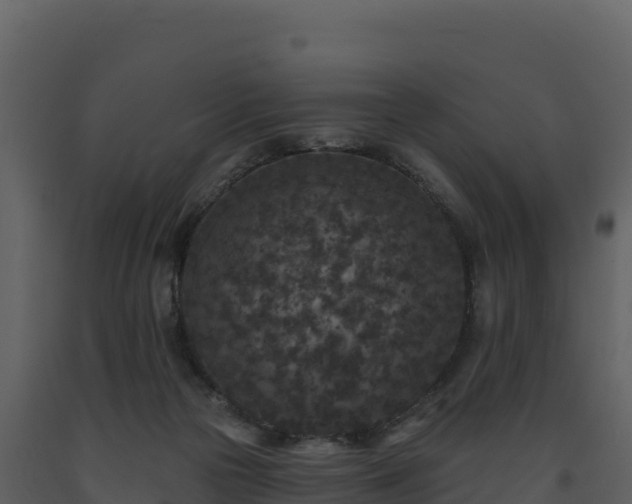 X0000093480169200710191214