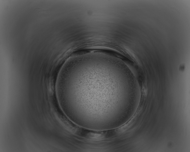 X0000093480170200710191214