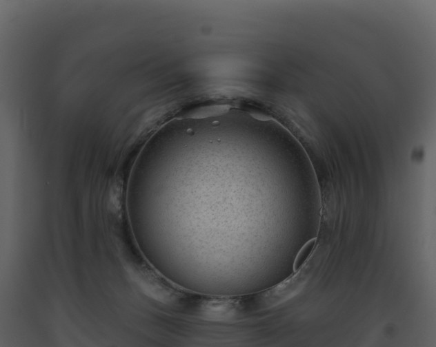 X0000093480175200710191214