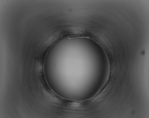 X0000093480176200710191214