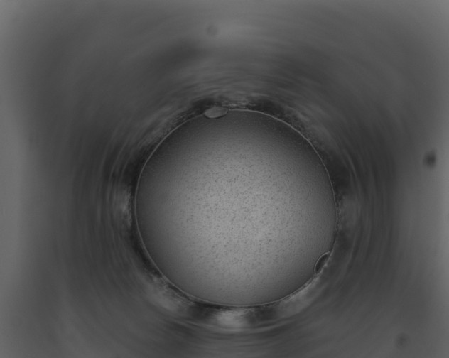 X0000093480178200710191214