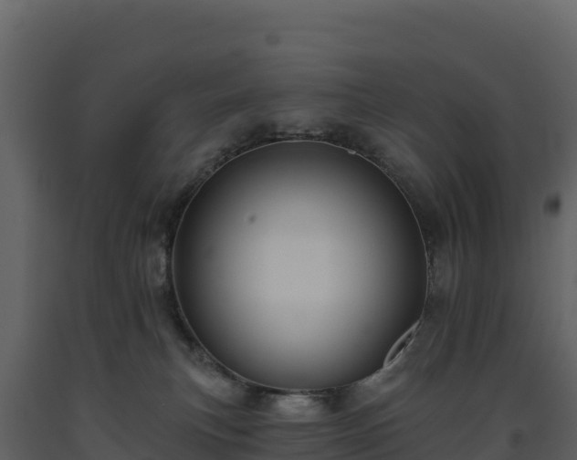 X0000093480183200710191214