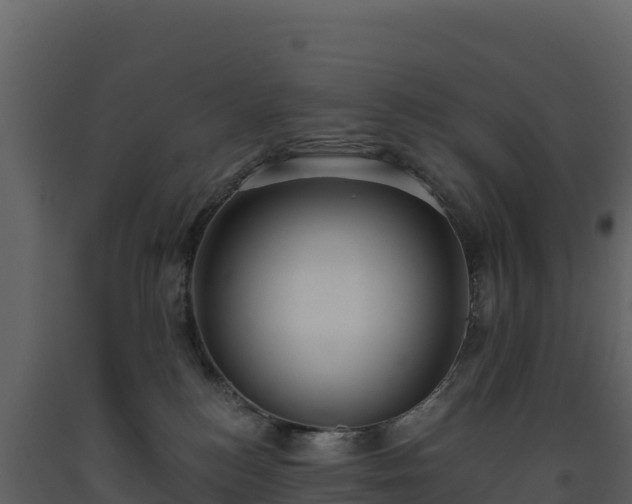 X0000093480184200710191214
