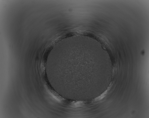 X0000093480186200710191214
