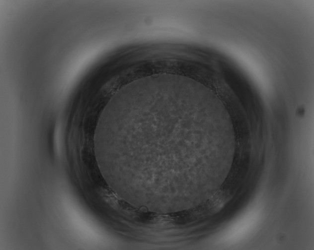 X0000093480189200710191214