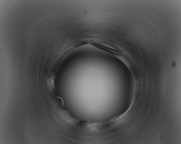 X0000093480190200710191214