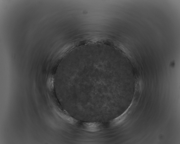 X0000093480191200710191214