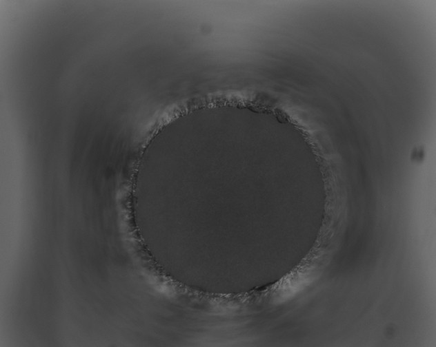 X0000093480192200710191214