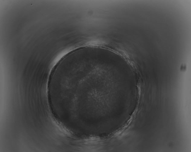 X0000093480196200710191213