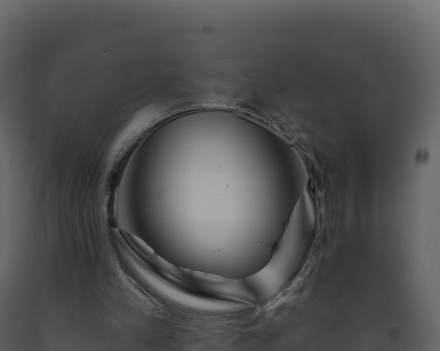 X0000093480197200710191213